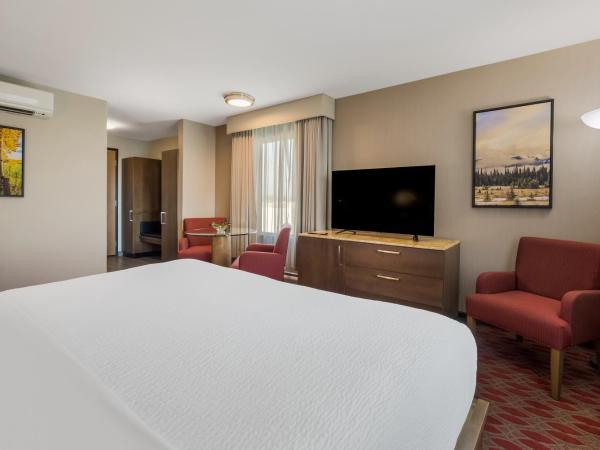 Hotel 11, MOD A Sonesta Collection : photo 3 de la chambre chambre d'angle lit king-size - non-fumeurs