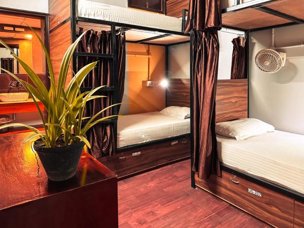 Hoztel Jaipur : photo 4 de la chambre lit dans dortoir pour femmes de 4 lits