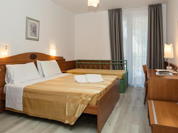 Hotel Leonardo Da Vinci Wellness SPA : photo 2 de la chambre grande chambre double