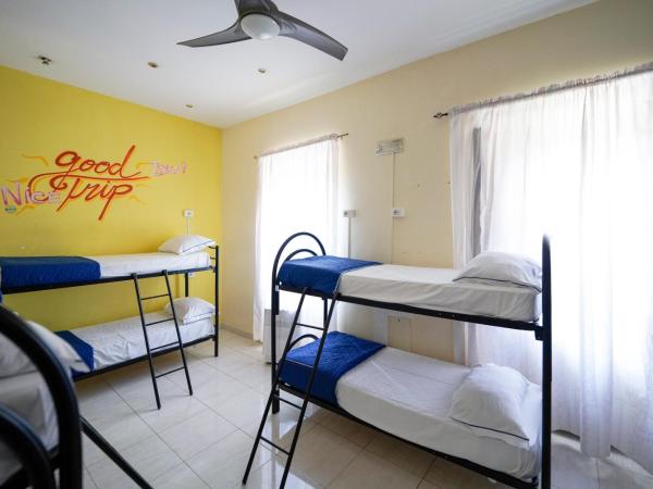 Los Mochileros Hostel - Age Limit 18-28 : photo 6 de la chambre lit simple dans dortoir pour femmes