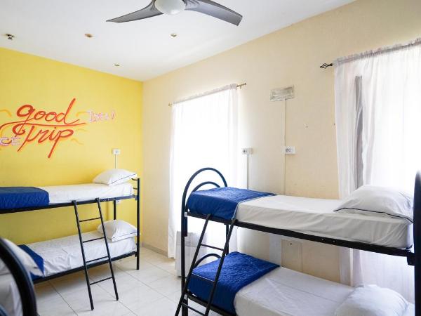 Los Mochileros Hostel - Age Limit 18-28 : photo 8 de la chambre lit simple dans dortoir pour femmes