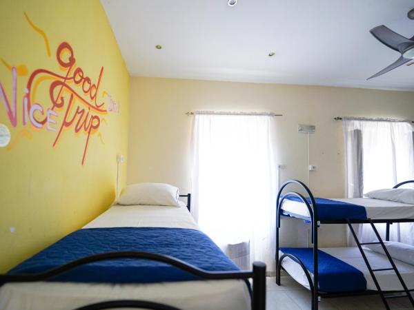 Los Mochileros Hostel - Age Limit 18-28 : photo 9 de la chambre lit simple dans dortoir pour femmes