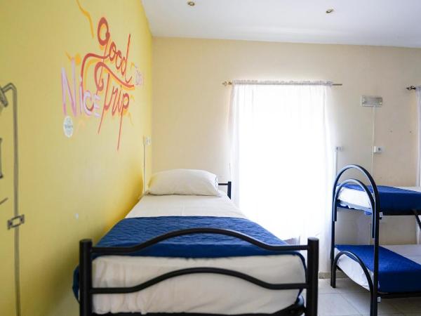 Los Mochileros Hostel - Age Limit 18-28 : photo 10 de la chambre lit simple dans dortoir pour femmes