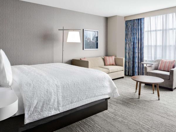 Hampton Inn Chicago McCormick Place : photo 5 de la chambre chambre lit king-size avec baignoire - adaptée aux personnes à mobilité réduite