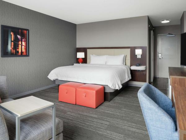 Hampton Inn Chicago McCormick Place : photo 6 de la chambre chambre lit king-size avec baignoire - adaptée aux personnes à mobilité réduite