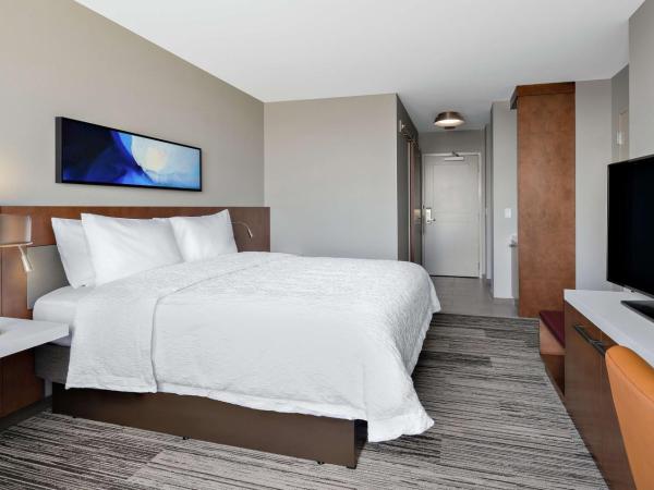 Hilton Garden Inn Chicago McCormick Place : photo 1 de la chambre chambre lit king-size
