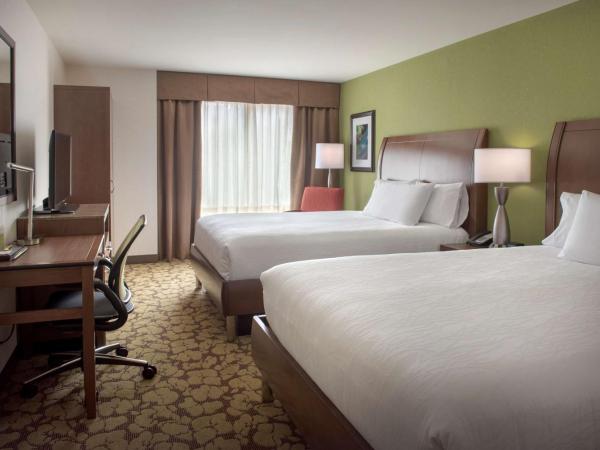 Hilton Garden Inn Chicago Downtown Riverwalk : photo 1 de la chambre chambre avec 2 lits queen-size - pour personnes malentendantes