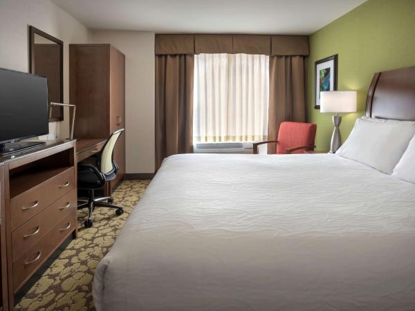 Hilton Garden Inn Chicago Downtown Riverwalk : photo 1 de la chambre chambre lit king-size