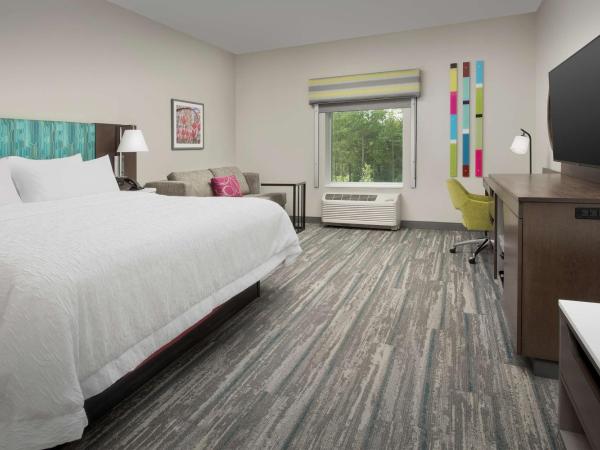 Hampton Inn & Suites Charlotte Airport Lake Pointe : photo 2 de la chambre chambre lit king-size avec canapé-lit