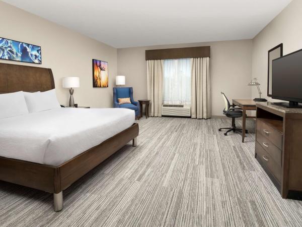 Hilton Garden Inn Charlotte Airport : photo 1 de la chambre chambre lit king-size avec baignoire accessible aux personnes à mobilité réduite - adaptée aux personnes à mobilité réduite