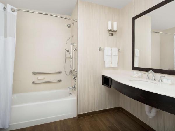 Hilton Garden Inn Charlotte Airport : photo 6 de la chambre chambre lit king-size avec baignoire accessible aux personnes à mobilité réduite - adaptée aux personnes à mobilité réduite