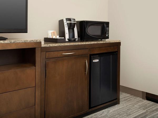 Hilton Garden Inn Charlotte Airport : photo 5 de la chambre chambre lit king-size avec baignoire accessible aux personnes à mobilité réduite - adaptée aux personnes à mobilité réduite