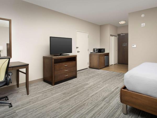 Hilton Garden Inn Charlotte Airport : photo 4 de la chambre chambre lit king-size avec baignoire accessible aux personnes à mobilité réduite - adaptée aux personnes à mobilité réduite
