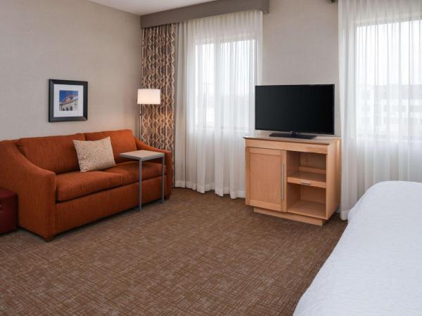 Hampton Inn & Suites Denver-Speer Boulevard : photo 2 de la chambre suite studio lit king-size - non-fumeurs
