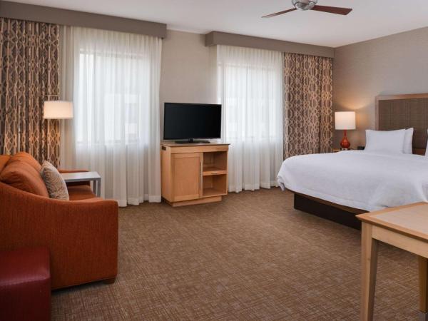 Hampton Inn & Suites Denver-Speer Boulevard : photo 3 de la chambre suite studio lit king-size - non-fumeurs