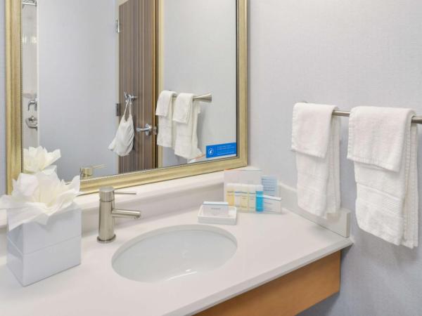 Hampton Inn & Suites Denver-Speer Boulevard : photo 3 de la chambre chambre lit king-size - accessible aux personnes à mobilité réduite - non-fumeurs