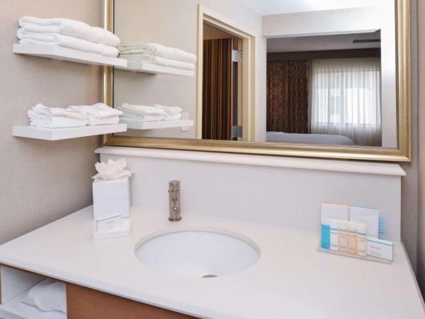 Hampton Inn & Suites Denver-Speer Boulevard : photo 4 de la chambre suite studio lit king-size - non-fumeurs