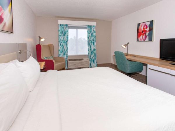 Hilton Garden Inn Jacksonville Airport : photo 2 de la chambre chambre lit king-size