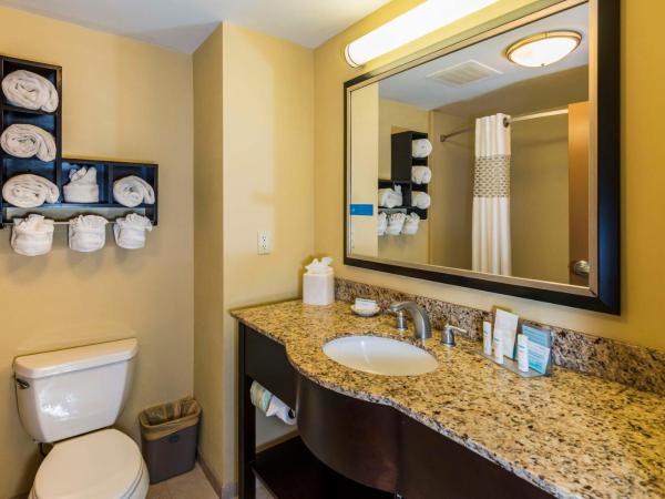 Hampton Inn & Suites Jacksonville South - Bartram Park : photo 4 de la chambre chambre lit king-size - non-fumeurs