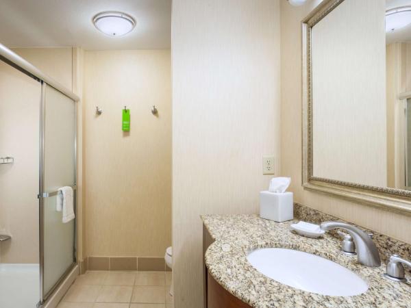 Hampton Inn & Suites Las Vegas-Red Rock/Summerlin : photo 4 de la chambre chambre lit king-size - non-fumeurs