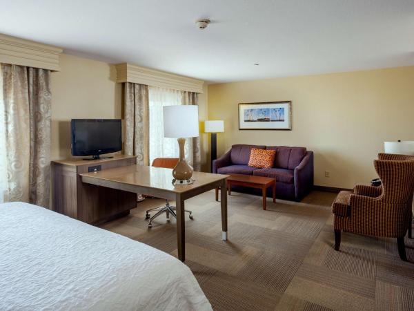 Hampton Inn & Suites Las Vegas-Red Rock/Summerlin : photo 2 de la chambre suite studio lit king-size - non-fumeurs