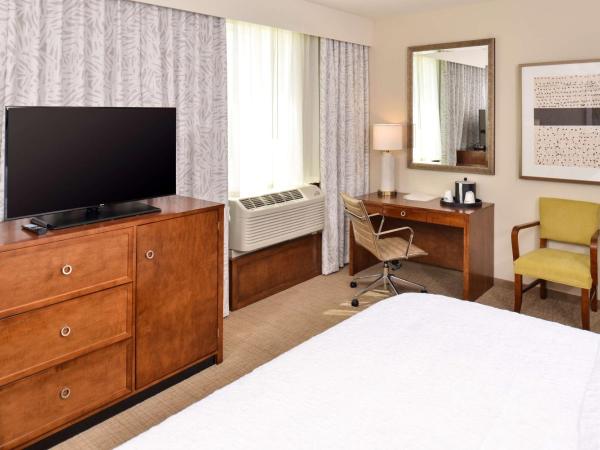 Hampton Inn & Suites Orlando/Downtown South - Medical Center : photo 2 de la chambre chambre lit king-size - non-fumeurs