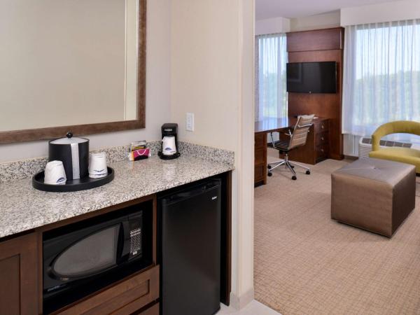 Hampton Inn & Suites Orlando/Downtown South - Medical Center : photo 5 de la chambre suite lit king-size avec canapé-lit - non-fumeurs
