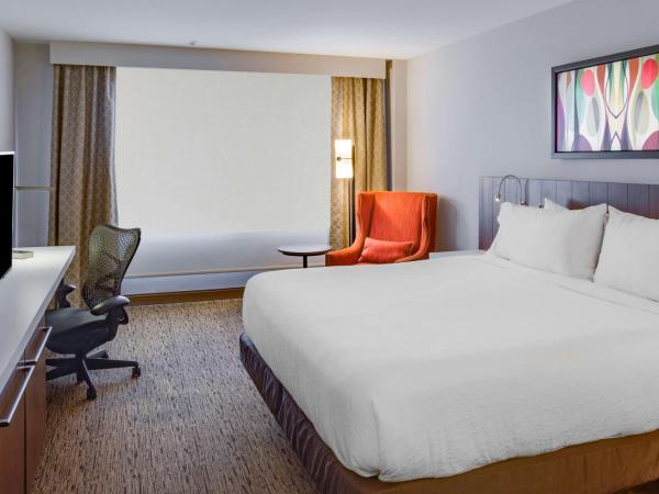 Hilton Garden Inn Oklahoma City Airport : photo 2 de la chambre chambre lit king-size