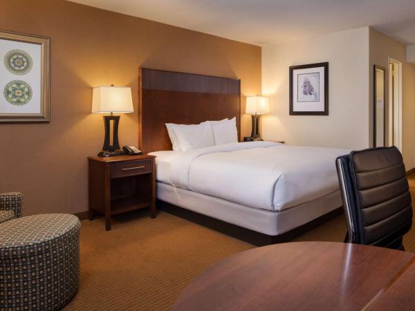 DoubleTree by Hilton Philadelphia Airport : photo 2 de la chambre chambre lit king-size