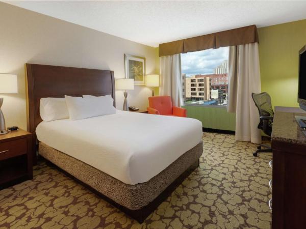 Hilton Garden Inn Pittsburgh University Place : photo 1 de la chambre chambre lit king-size