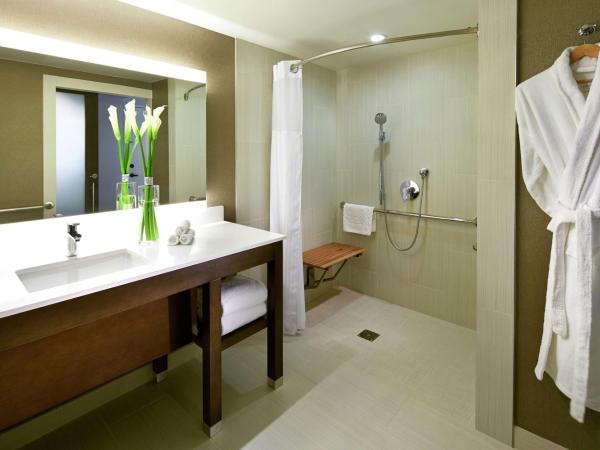 Hilton San Diego Mission Valley : photo 5 de la chambre chambre lit king-size avec douche accessible en fauteuil roulant - Étage supérieur - accessible aux personnes à mobilité réduite/malentendantes