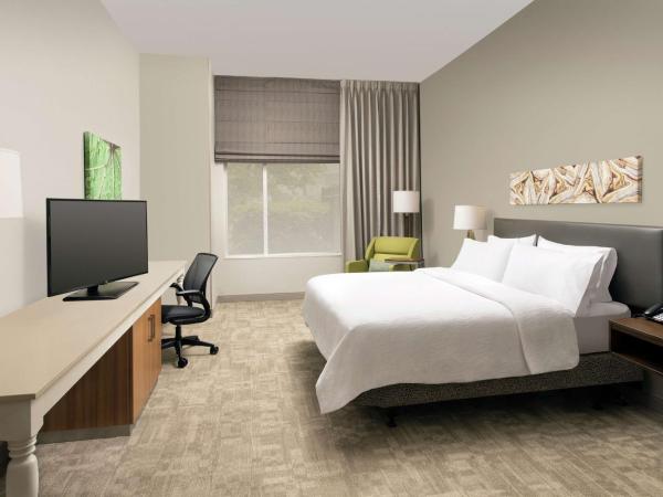 Hilton Garden Inn San Antonio Airport South : photo 2 de la chambre chambre lit king-size