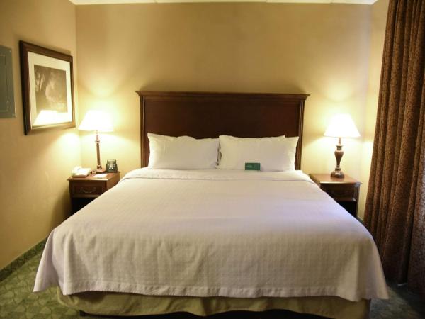 Homewood Suites by Hilton San Antonio North : photo 1 de la chambre suite studio lit king-size - non-fumeurs