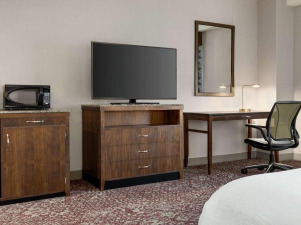 Hilton Garden Inn Louisville Downtown : photo 3 de la chambre chambre lit king-size - adaptée aux personnes malentendantes