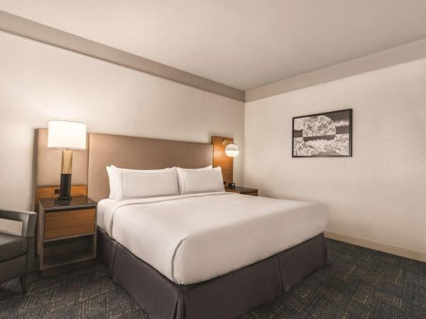 DoubleTree by Hilton Tampa Rocky Point Waterfront : photo 2 de la chambre suite 1 chambre lit king-size - accessible aux personnes à mobilité réduite