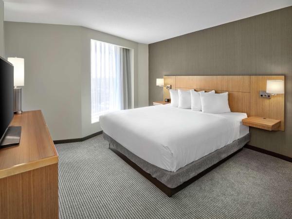 DoubleTree by Hilton Edmonton Downtown : photo 1 de la chambre suite 1 chambre lit king-size