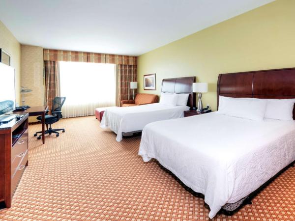 Hilton Garden Inn Ottawa Airport : photo 1 de la chambre chambre lit queen-size evolution de luxe avec 2 lits queen-size