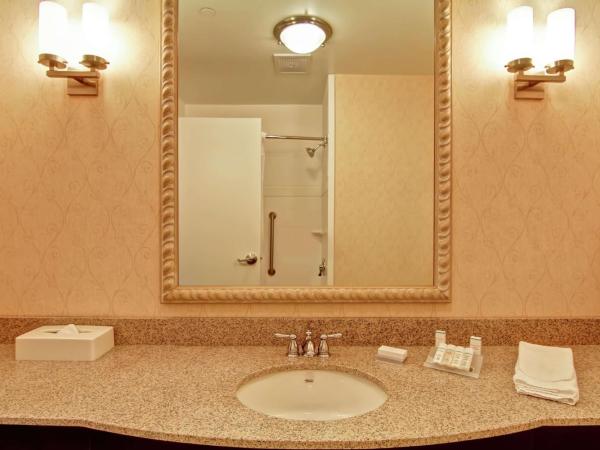 Hilton Garden Inn Ottawa Airport : photo 3 de la chambre chambre lit king-size avec canapé-lit - non-fumeurs