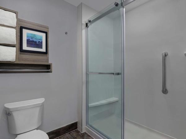Homewood Suites by Hilton London Ontario : photo 10 de la chambre suite studio lit king-size - non-fumeurs