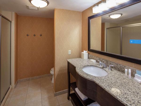 Hampton Inn & Suites Austin Cedar Park-Lakeline : photo 3 de la chambre chambre lit king-size deluxe - non-fumeurs
