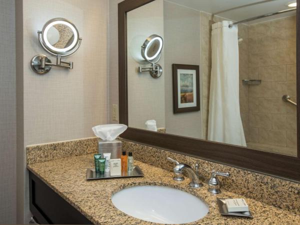 Hilton Winnipeg Airport Suites : photo 4 de la chambre suite 1 chambre lit king-size