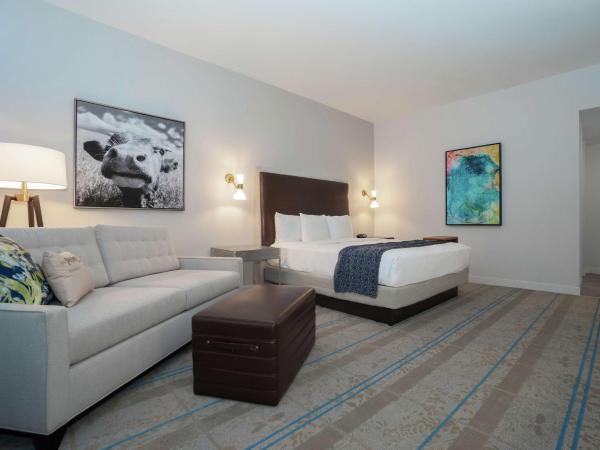 Hilton Austin Airport : photo 6 de la chambre chambre lit king-size premier