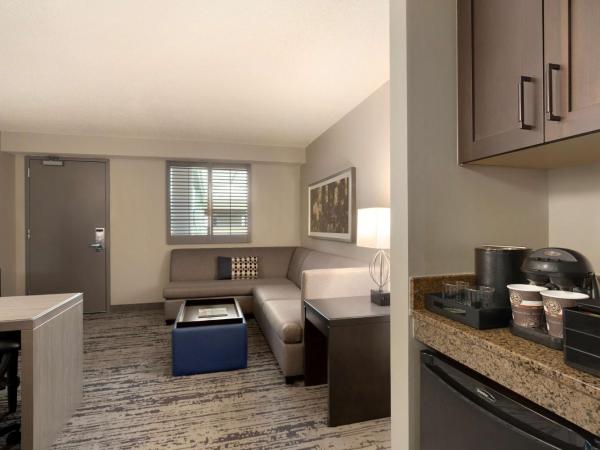 Embassy Suites by Hilton Atlanta at Centennial Olympic Park : photo 3 de la chambre suite lit king-size