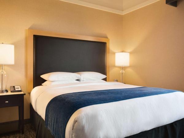 DoubleTree by Hilton Hotel Oklahoma City Airport : photo 2 de la chambre suite lit king-size avec canapé-lit