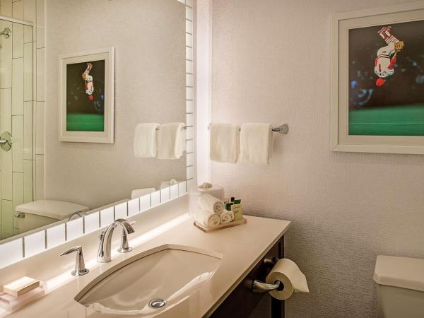 Hilton St. Louis at the Ballpark : photo 4 de la chambre chambre avec 2 lits queen-size - vue sur ville