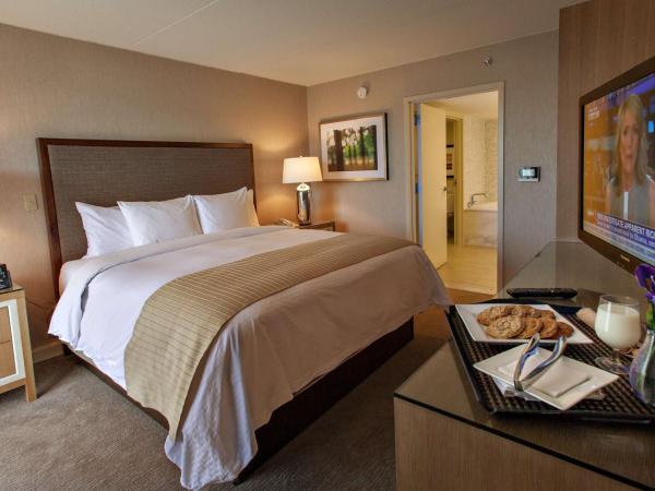 DoubleTree by Hilton Pittsburgh-Green Tree : photo 4 de la chambre chambre lit king-size - non-fumeurs