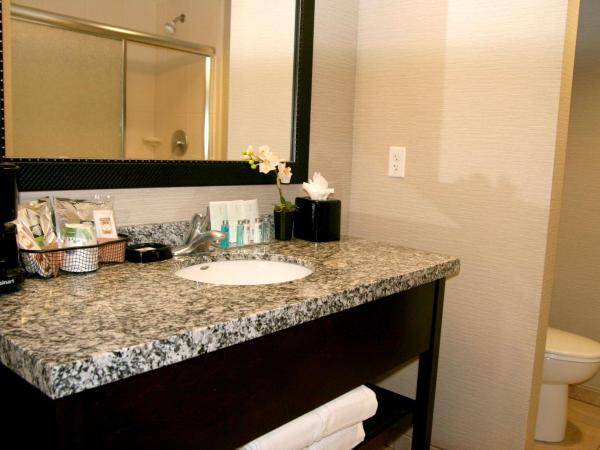 Hampton Inn & Suites Salt Lake City-University/Foothill Drive : photo 3 de la chambre chambre lit king-size - adaptée aux personnes malentendantes - non-fumeurs