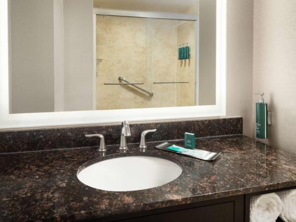 DoubleTree Suites by Hilton Hotel Detroit Downtown - Fort Shelby : photo 4 de la chambre suite 1 chambre lit queen-size avec canapé-lit