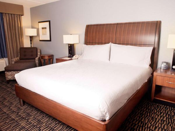 Hilton Garden Inn Austin NorthWest/Arboretum : photo 4 de la chambre chambre lit king-size