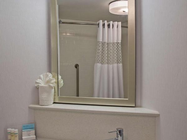 Hampton Inn Philadelphia-Airport : photo 4 de la chambre chambre lit king-size avec canapé-lit - non-fumeurs